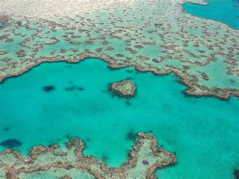 2020-02-17 Eastern Australia: 2020-03-16 – Hardy Reef and the Heart of the Great Barrier Reef