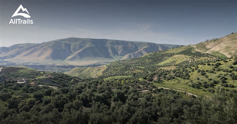 Best hikes and trails in Ajloun Forest Reserve | AllTrails