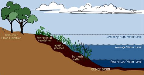 shoreland management - quick and easy answers - LAKE LEVELS - THE UPS ...