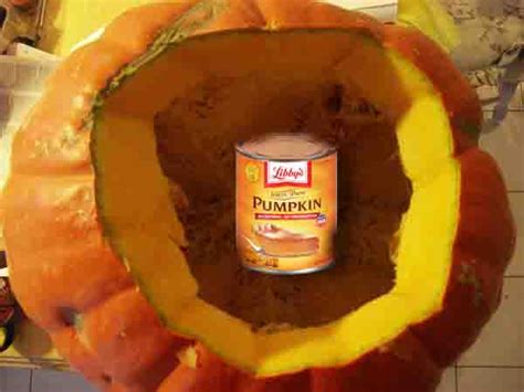 How Does Pumpkin Help Dogs Diarrhea