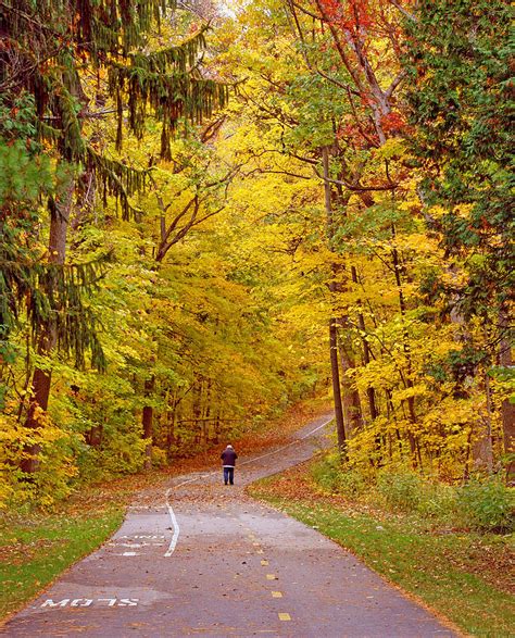 Walking The Nature Trail Photograph by Kay Novy - Fine Art America