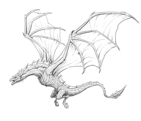 How to Draw a Dragon, Step By Step and Easy to Follow Tutorial. | Cool ...