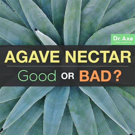 Is Agave Nectar Good for You? | Agave nectar, Agave syrup bad, Agave nectar benefits