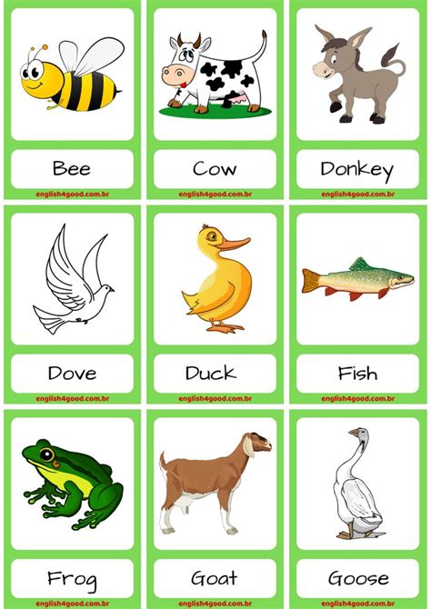 Animal Flash Cards Printable