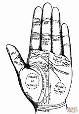 Vintage Palmistry Chart coloring Page  Free Printable Coloring Pages sketch template