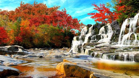 Download Fall Tree Forest Nature Waterfall HD Wallpaper