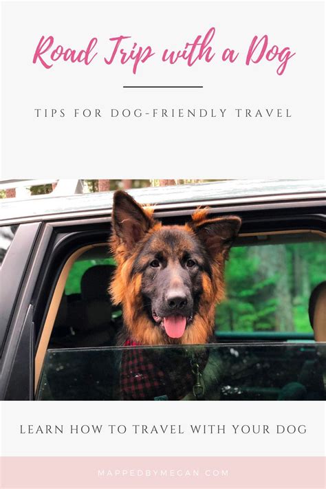 Top Tips for Traveling with a Dog - Mapped by Megan in 2021 | Road trip with dog, Road trip ...