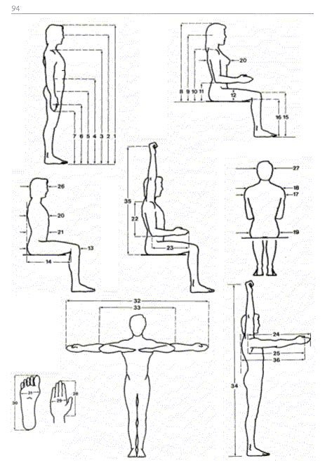 Anthropometry Figures