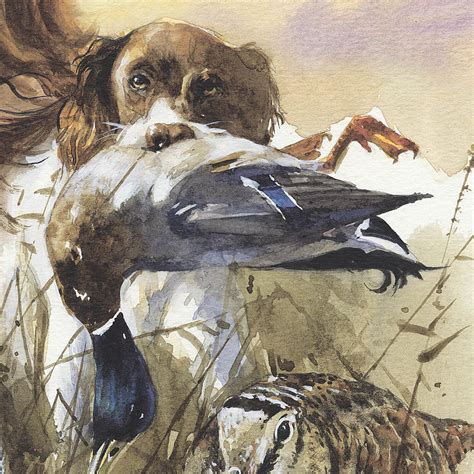 Author's print “English Springer Spaniel. Hunting”, spaniel art - Siurha Art