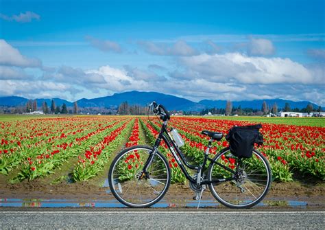 Biking and Hiking in Skagit Valley - Visit Skagit Valley - North Cascades National Park to ...