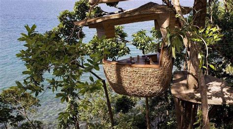 Luxurious Restaurant at the Treetop | Others