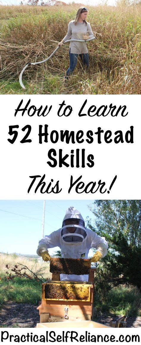 How to Learn 52 Homestead Skills This Year | Homesteading skills, Urban homesteading, Homesteading