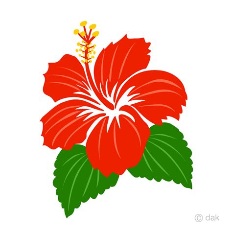 Red Hibiscus Flower Clipart | Best Flower Site