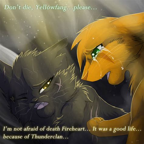 Yellowfang's Death by RiverSpirit456 on DeviantArt