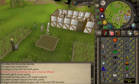 First pet of my osrs career at only 62 farming! : r/2007scape