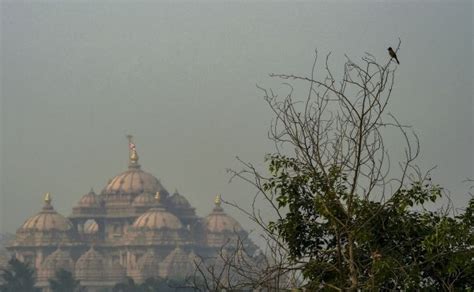 Diwali pollution: Delhi's air quality turns 'severe' - Rediff.com India News