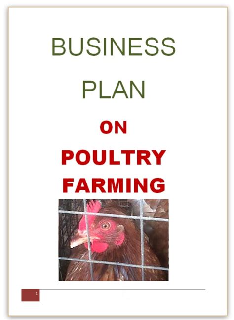 How To Write A Poultry Farm Business Plan - Practical Business Ideas - Best Small Scale Business ...