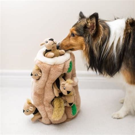 10 Best Toys To Keep Dogs Busy (2019) Reviews | Dog Toys Advisor