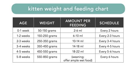 average weight of 7 month old kitten Kitten age weight chart