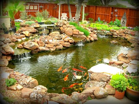 koi water gardens Koi pond and waterfall - koifishonline