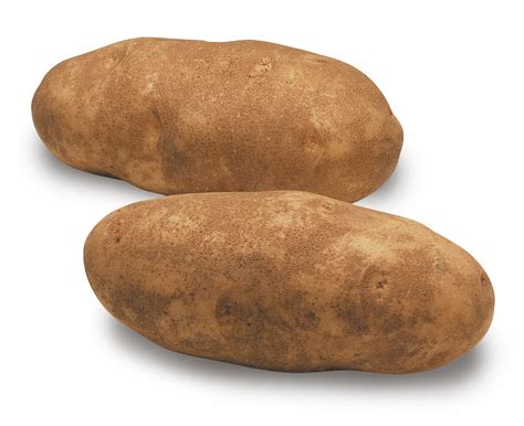 Russet burbank potato clipart 20 free Cliparts | Download images on Clipground 2024