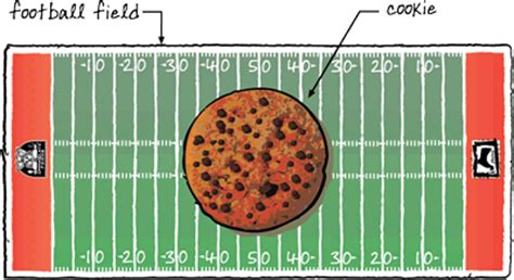 The World’s Biggest Cookie | Immaculate Baking Company The World’s Biggest Cookie