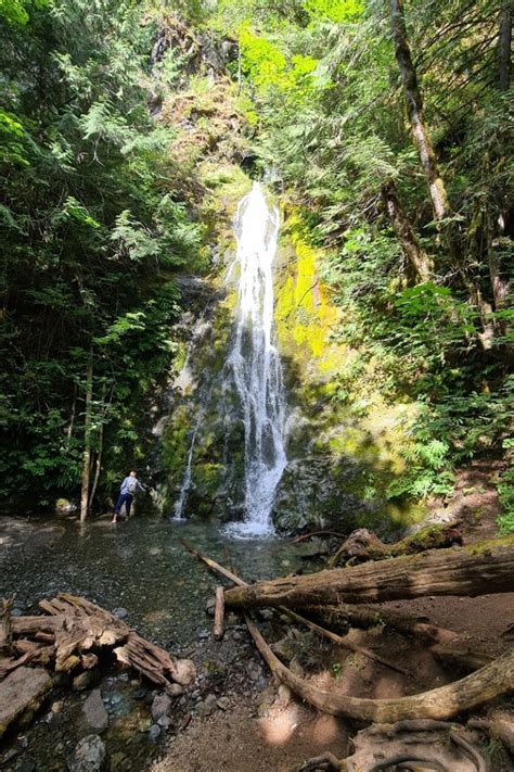 4 Most Accessible Waterfalls in Olympic National Park • Our Globetrotters