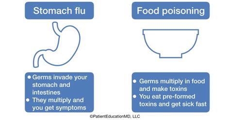 Stomach flu vs food poisoning - PatientEducationMD