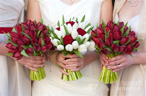 Red And White Tulip And Rose Wedding Bouquets Photograph by Lee Avison