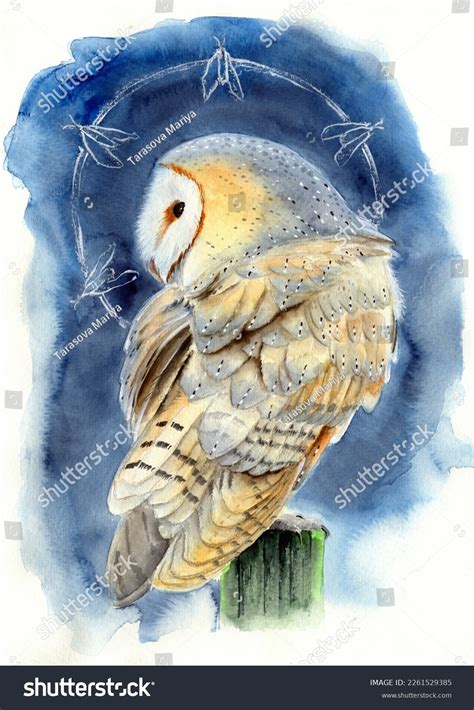 Watercolor Illustration Beautiful White Barn Owl Stock Illustration ...