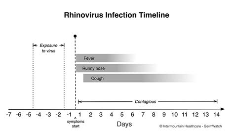 Rhinovirus Treatment : Rhinovirus Education Sheet | CloroxPro ...