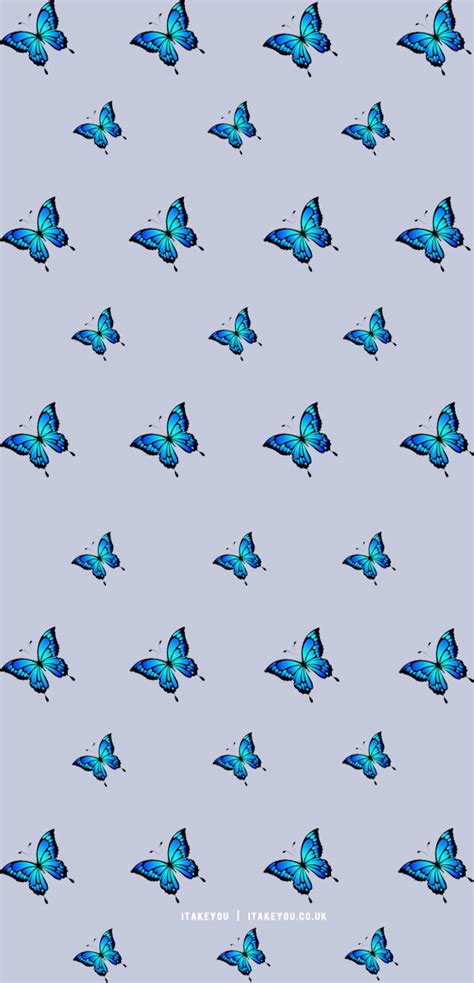 Butterfly wallpaper aesthetic | Blue butterfly wallpaper background designs