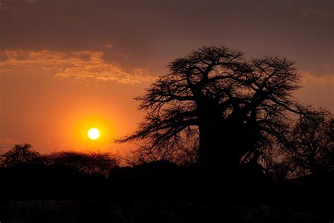 UNESCO Designates Lewa Wildlife Conservancy a World Heritage Site - African Safari Consultants