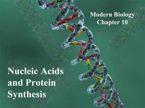 Nucleic Acids and Protein Synthesis Modern Biology Chapter 10