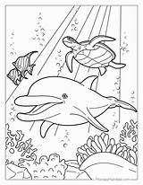 34 Dolphin Coloring Pages Free PDF Printables sketch template