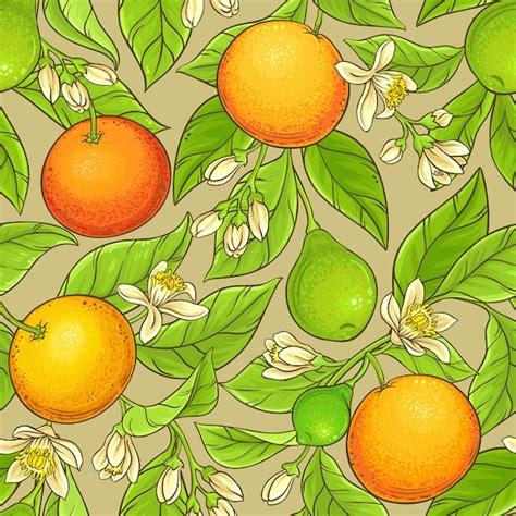 Premium Vector | Grapefruit vector pattern