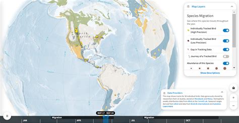 Making Sense of the Peregrine Falcon’s Variable Migration Patterns | Audubon Vermont