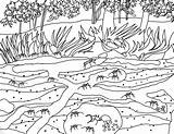 Learn About Ants sketch template