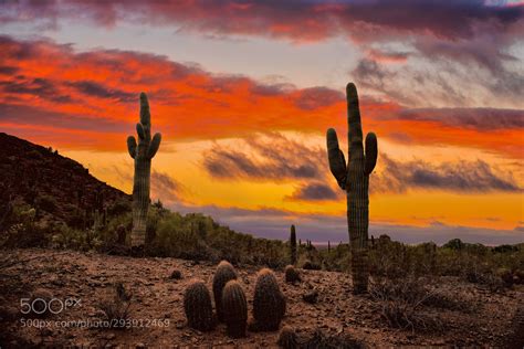 Desert sunset Phoenix AZ | Desert sunset photography, Desert sunset painting, Desert sunset