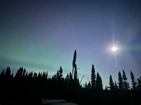 Northern Lights in Alaska: How to See Them • Earth by Foot