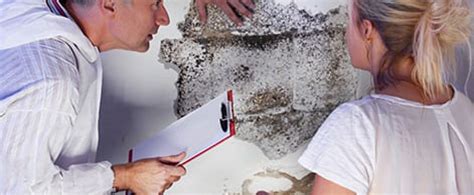 Am I Paying too Much in Mold Removal Costs? - Mold Zero LLC