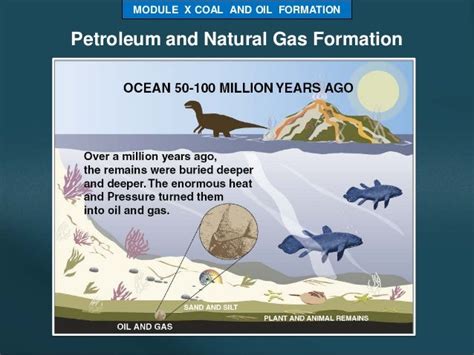 COAL AND OIL FORMATION