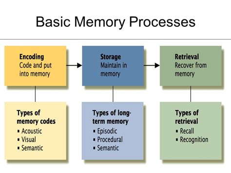 Adam's blog: Topic 5:MEMORY,LEARNING AND IMPROVING CONCENTRATION