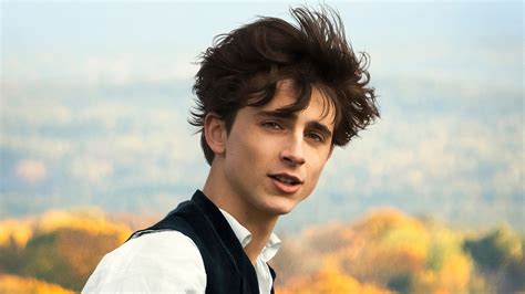 1920x1080 Timothee Chalamet In Little Women Laptop Full HD 1080P ,HD 4k ...