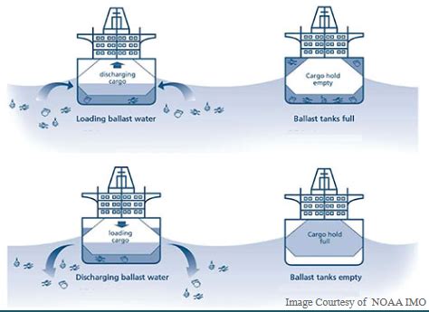 Aquatic Invasive Species | Ballast Water/Biofouling