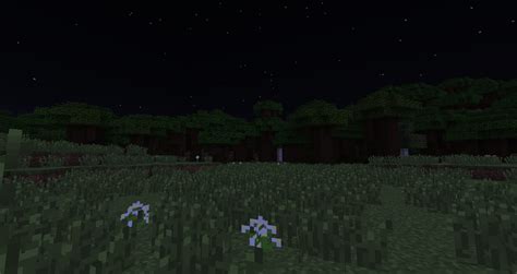 Night | Minecraft Wiki | FANDOM powered by Wikia