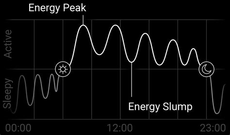 On ultradian rhythms and aligning your day to them