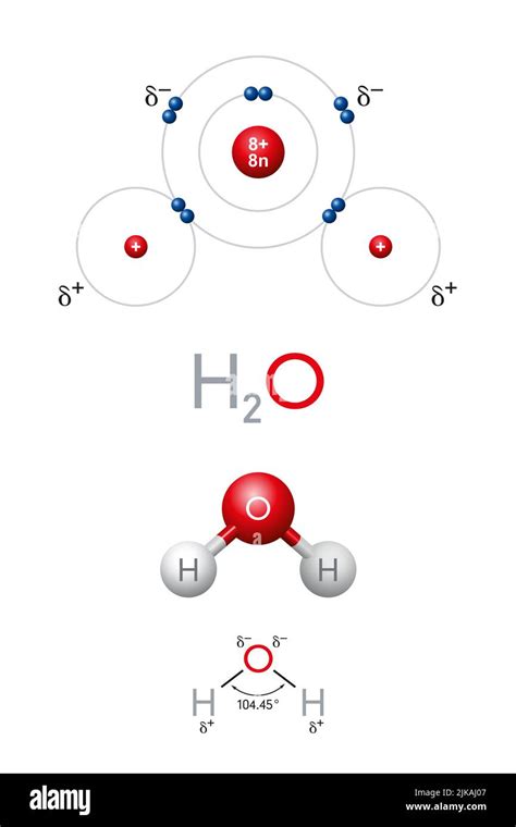 H2O Molecule Model