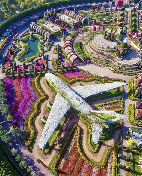 Aerial shot of the Dubai Miracle Garden home to over 50 million flowers ...