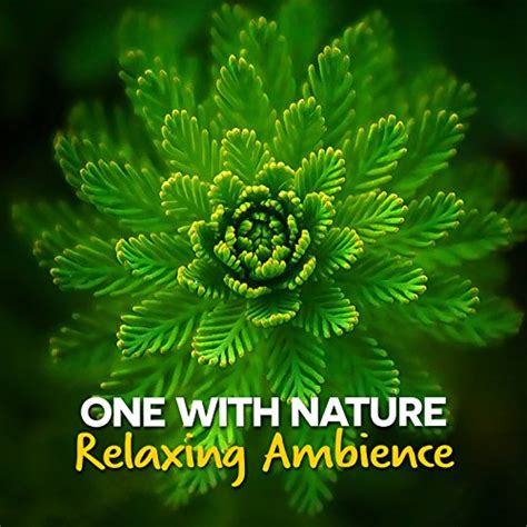 Amazon.com: One with Nature: Relaxing Ambience : Ambiance Nature: Digital Music